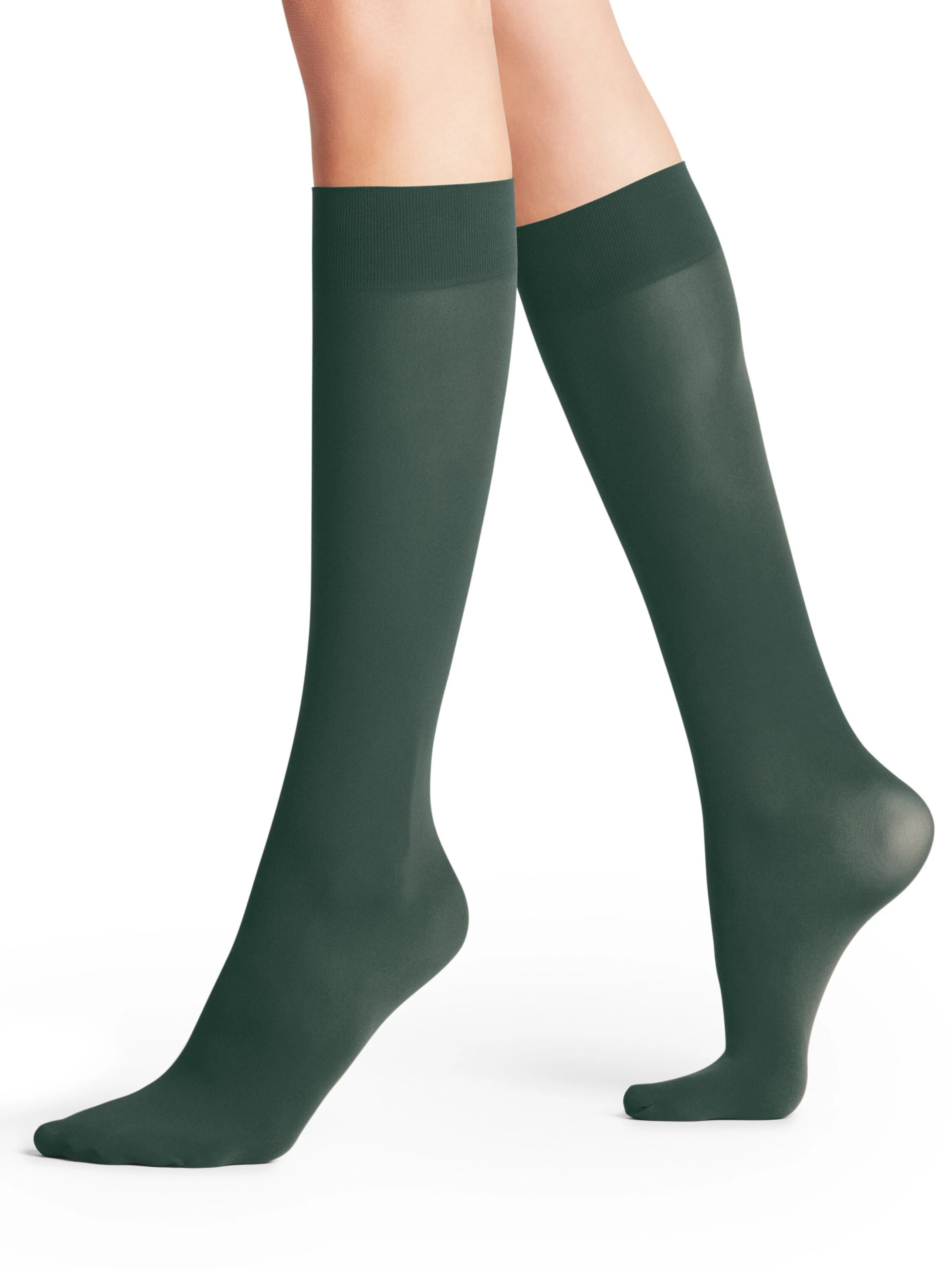 FALKE Over the Knee Socks 'Pure Matt' in Green: front