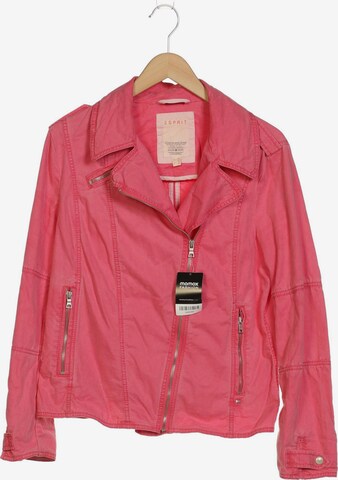 ESPRIT Jacket & Coat in XXL in Pink: front