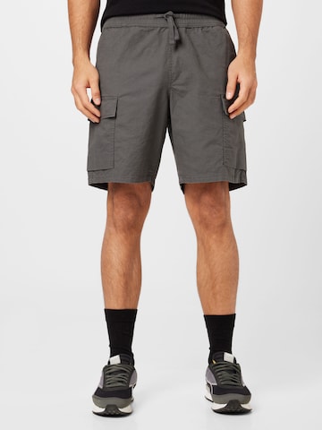 LEVI'S ® Regular Карго панталон 'Surplus Cargo Short' в сиво: отпред