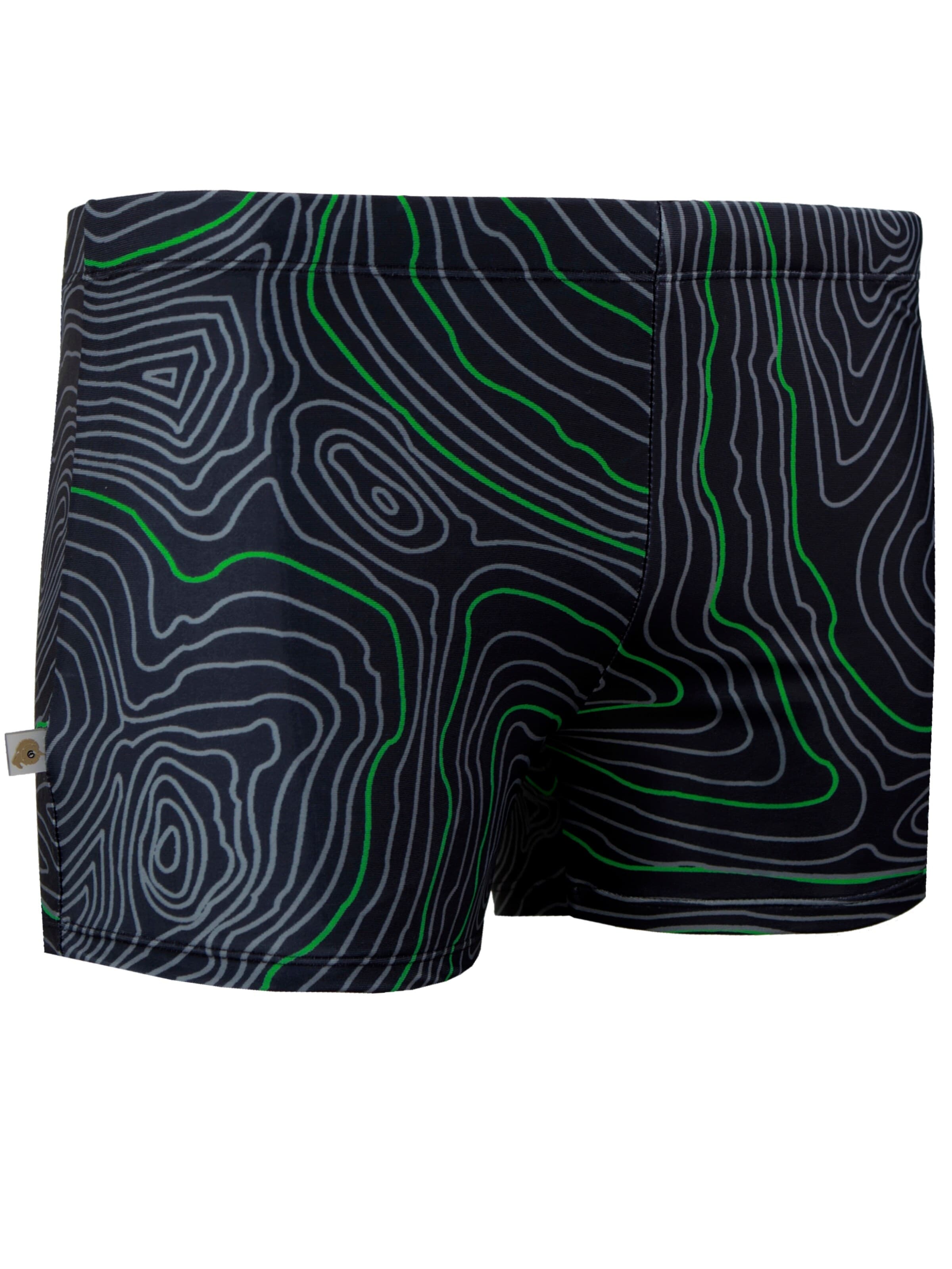 Guggen Mountain Badeshorts 'Badehose TS1-2-3'‌‌‌‌ in Grün: Vorderseite