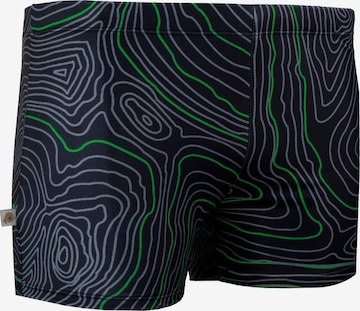 Guggen Mountain Badeshorts 'Badehose TS1-2-3' in Grün: Vorderseite