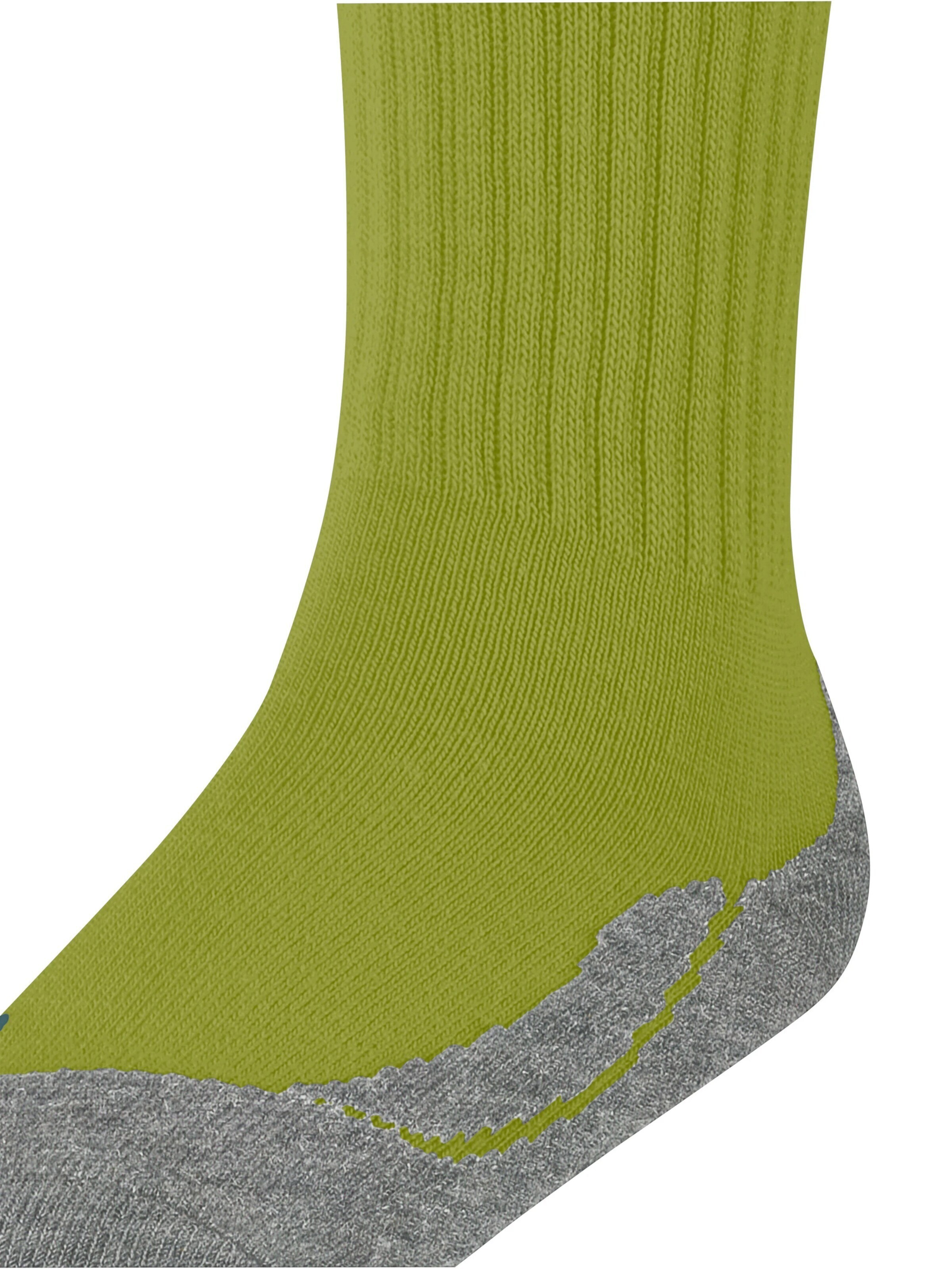 FALKE Socks 'Active Warm' in Green