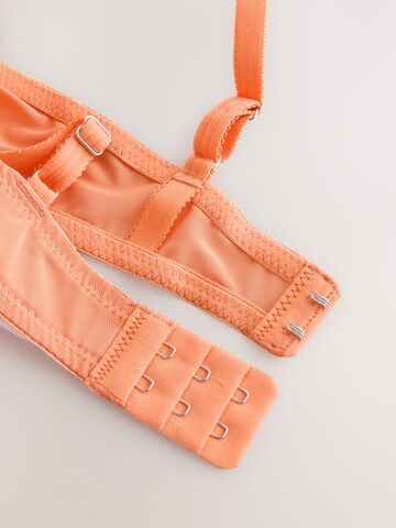 Next Push-up BH in Blau