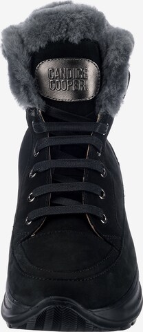 Candice Cooper Lace-Up Ankle Boots in Black