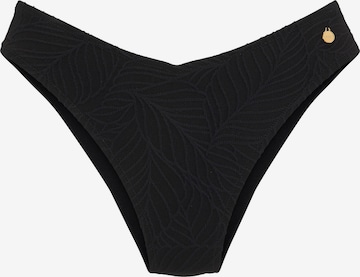 LASCANA Bikini bottom in Black: front