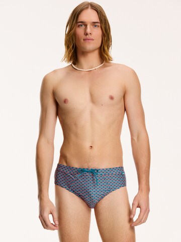 Maillot de bain Shiwi en bleu : devant