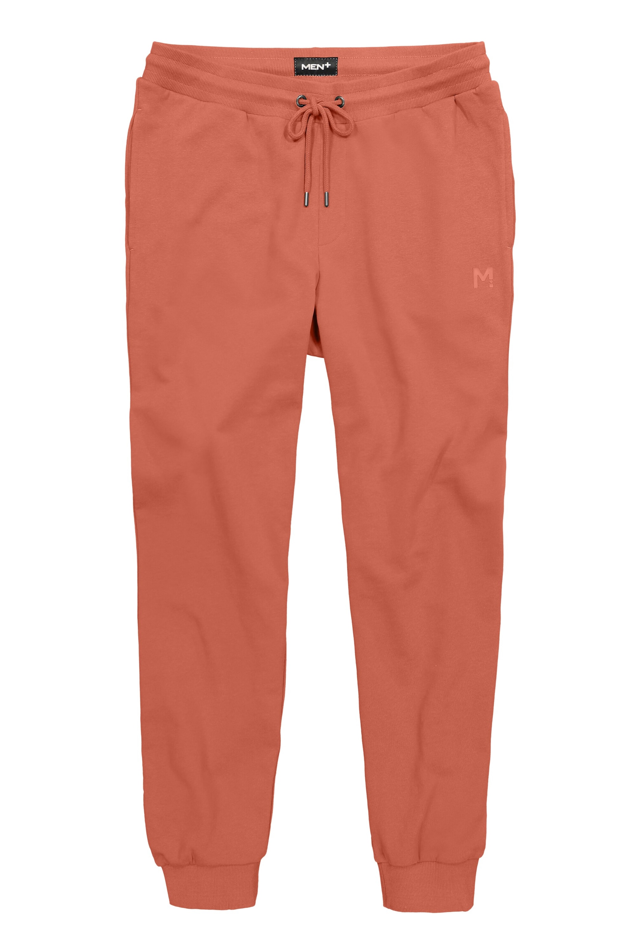 Men Plus Pants in Brown: front
