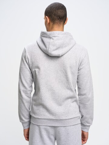 BIG STAR Sweatshirt 'AJRON' in Grey