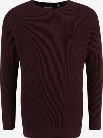 s.Oliver Men Big Sizes Sweater in Brown: front