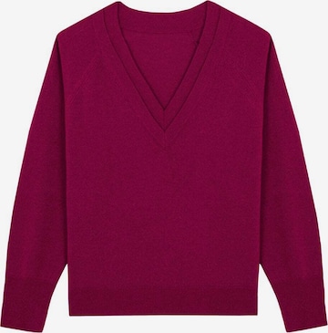 Scalpers Pullover 'Joy' in Pink: predná strana