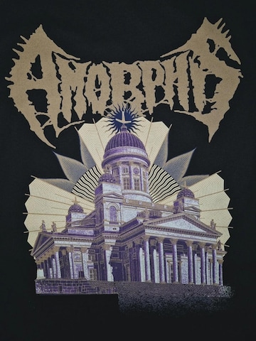 Amorphis Shirt 'Amorphis Cathedral T-Shirt' in Zwart