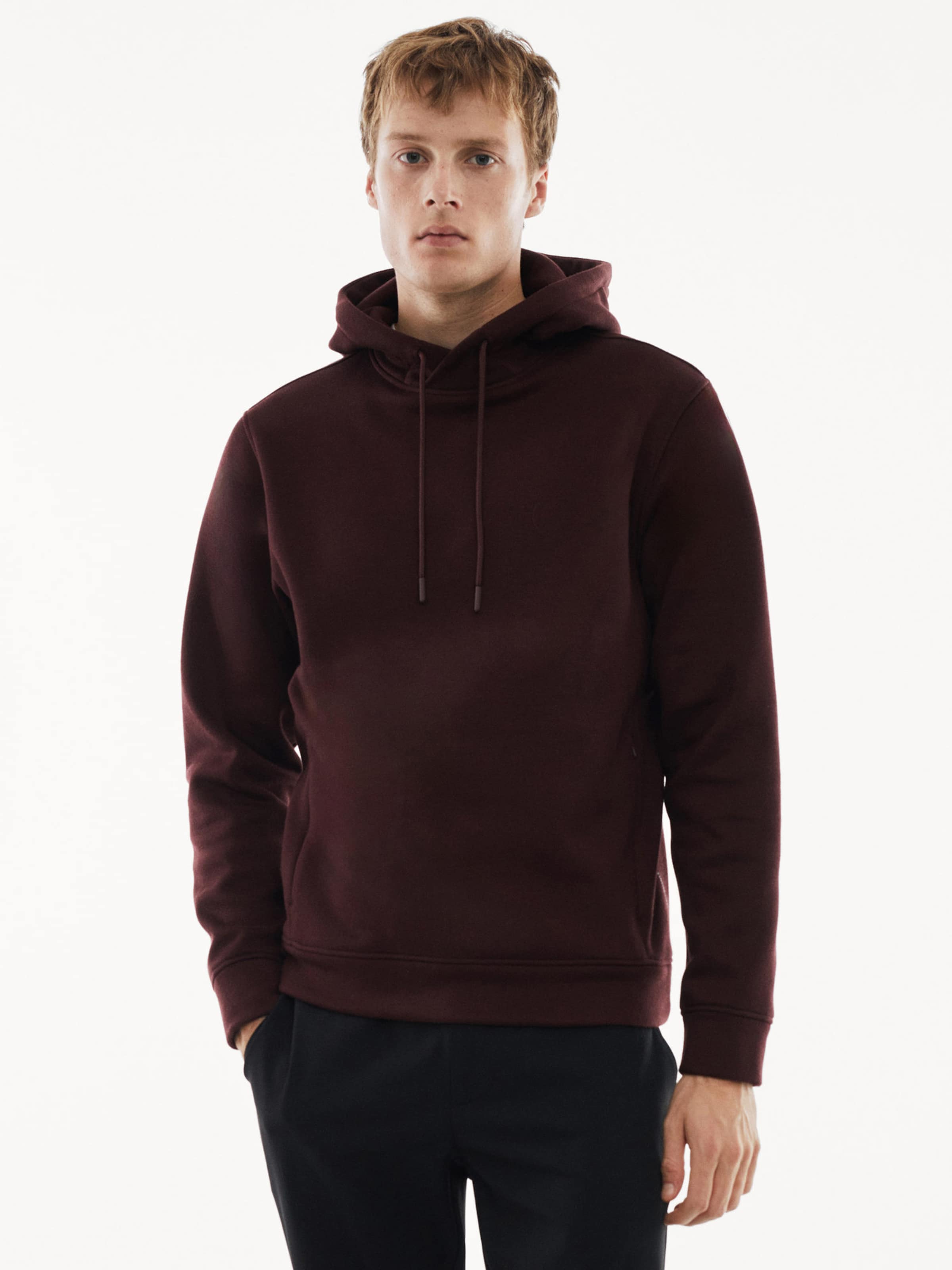 MANGO MAN Sweatshirt Alpsh in Bordeaux ABOUT YOU