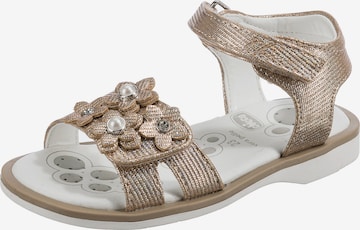 CHICCO Sandals 'CETRA' in Gold: front