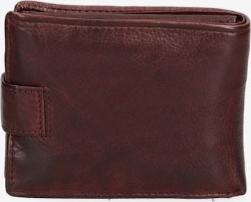 Sergio Valentini Wallet in Brown: front