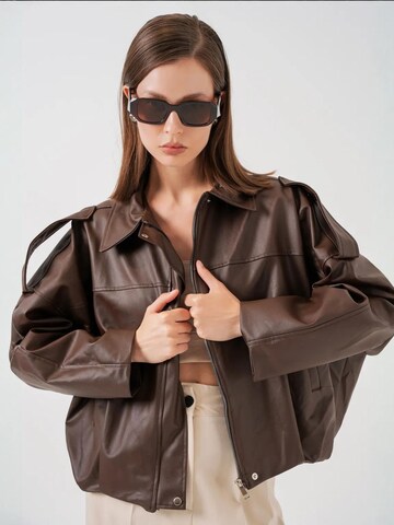 Veste d’hiver 'Jacken' Bigdart en marron : devant