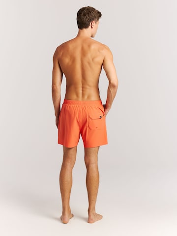 PROTEST Badeshorts 'PRTIgapo' in Lila