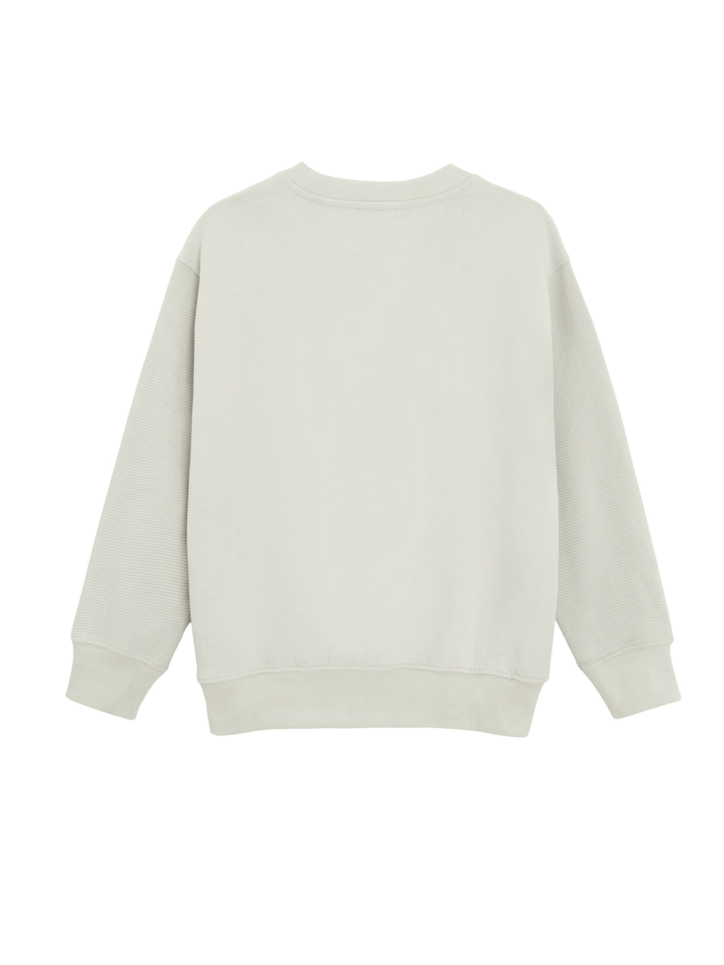 Cool Club Bluza w kolorze szary: tył