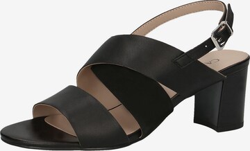 CAPRICE Sandals in Black: front