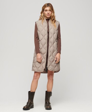 Gilet Superdry en beige