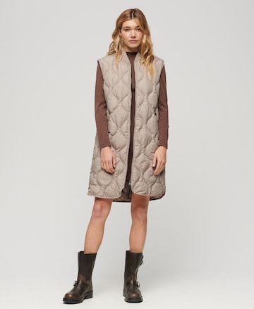 Superdry Vest in Beige