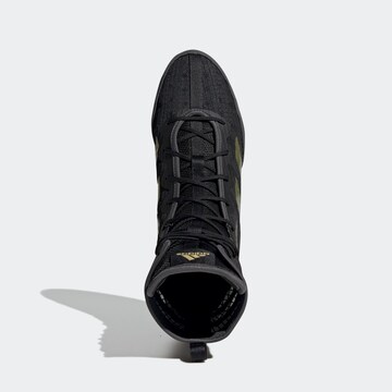 Chaussure de sport 'Box Hog 4' ADIDAS PERFORMANCE en noir