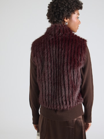 RINO & PELLE Bodywarmer 'Dava' in Bruin