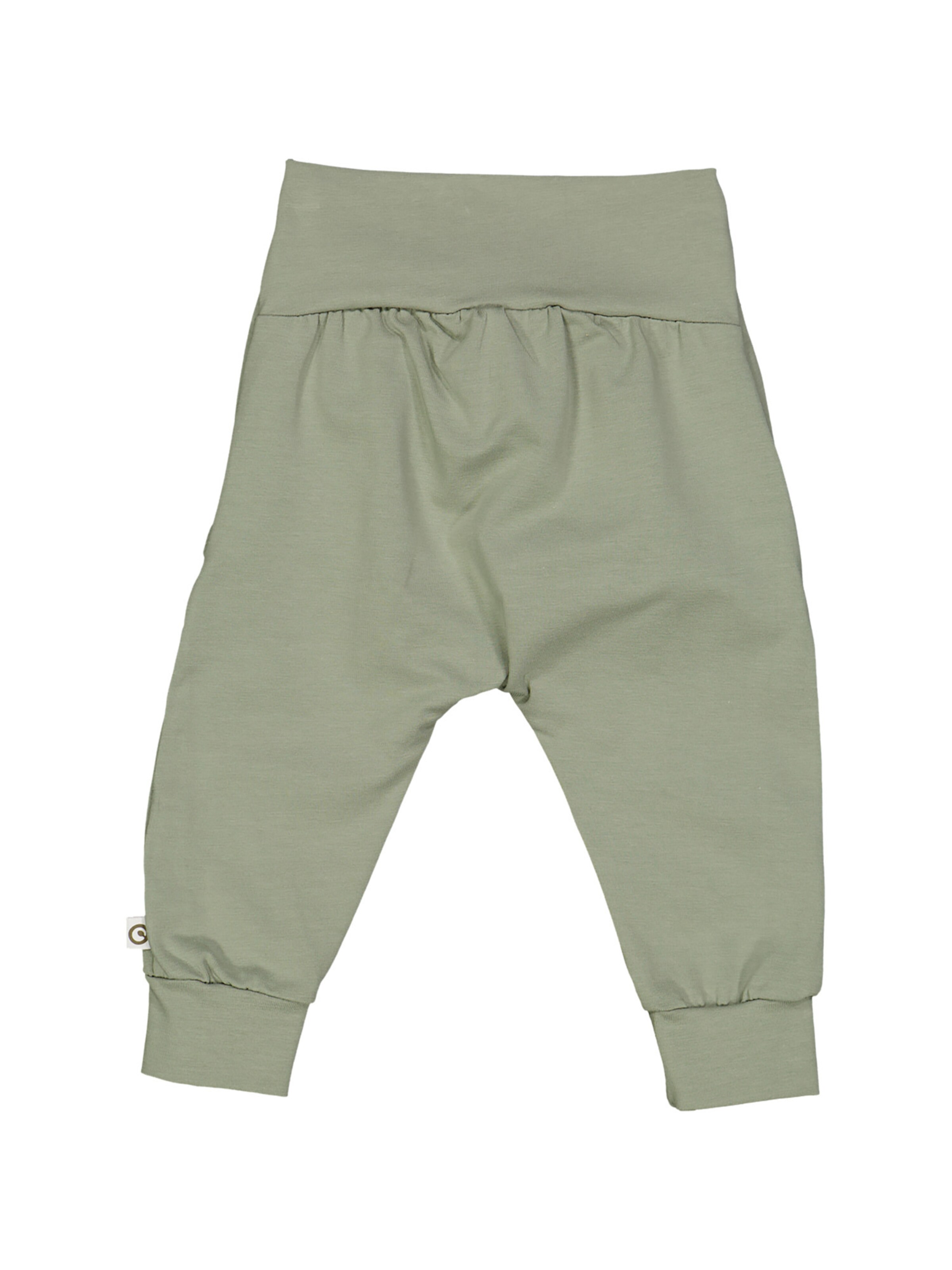 Müsli by GREEN COTTON Regular Broek ' 1535114000 ' in Groen