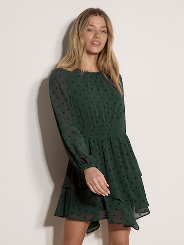 Abito di Apricot in verde: frontale