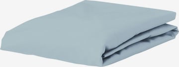 ESSENZA Bed Sheet in Blue: front