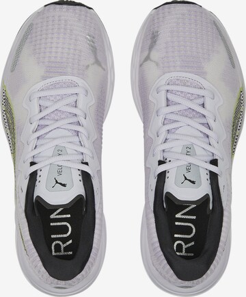 PUMA Running Shoes 'Velocity Nitro 2' in Purple