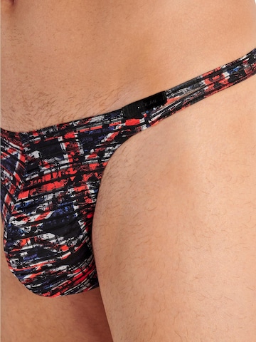 HOM Panty 'Malcom' in Mixed colors
