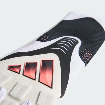 ADIDAS PERFORMANCE - Guantes deportivos 'Predator Pro' en rosa