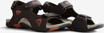 Travelin Hiking Sandals 'Volda' in Brown