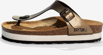 BaytonJapanke 'ASTURIAS' - bronca boja: prednji dio