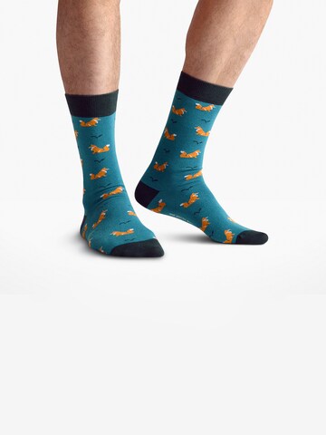 The Arctic Bay - Calcetines 'SHINRIN EDITION Gift box 4 Pack Unisex' en Mezcla de colores