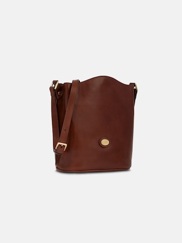 The Bridge Crossbody Bag in Brown
