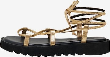 ONLY Sandalen met riem in Goud: voorkant