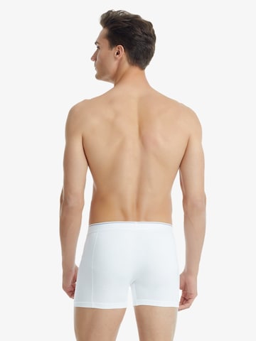 Blackspade Board shorts in White