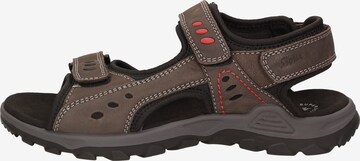 SIOUX Sandals ' Oneglio-700 ' in Brown