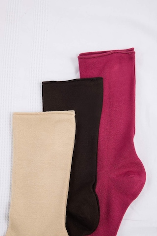 Calzino di Trendyol in beige