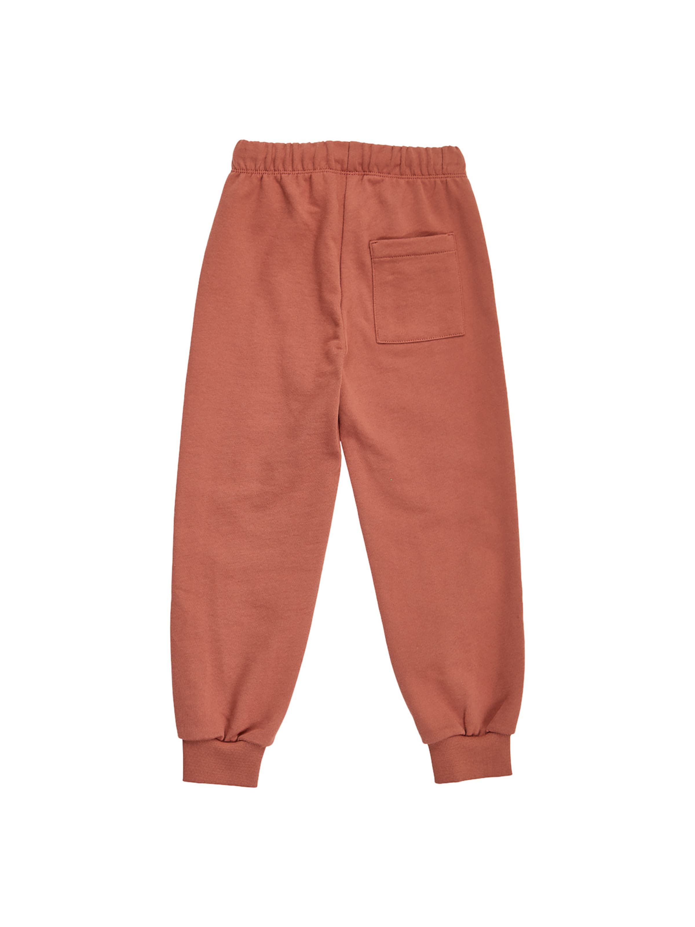 Fred's World by GREEN COTTON Tapered Broek in Bruin