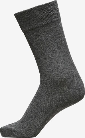 SELECTED HOMME Sokker i grå: forside