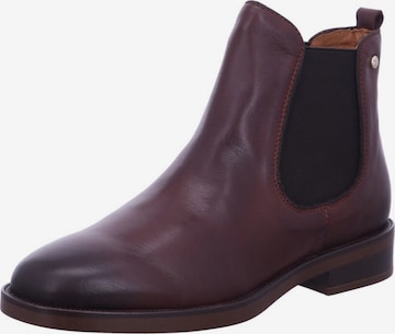 PIKOLINOS Chelsea Boots in Braun: Vorderseite