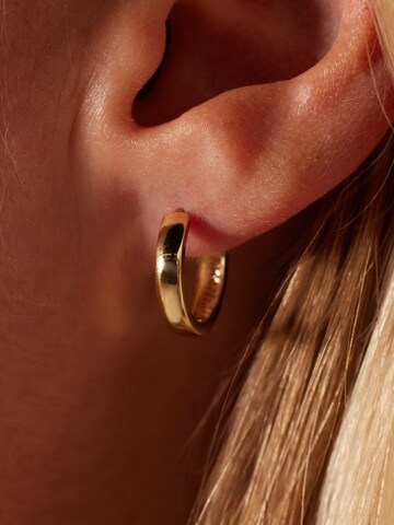 Lucardi Earrings 'Klassisch' in Gold: front