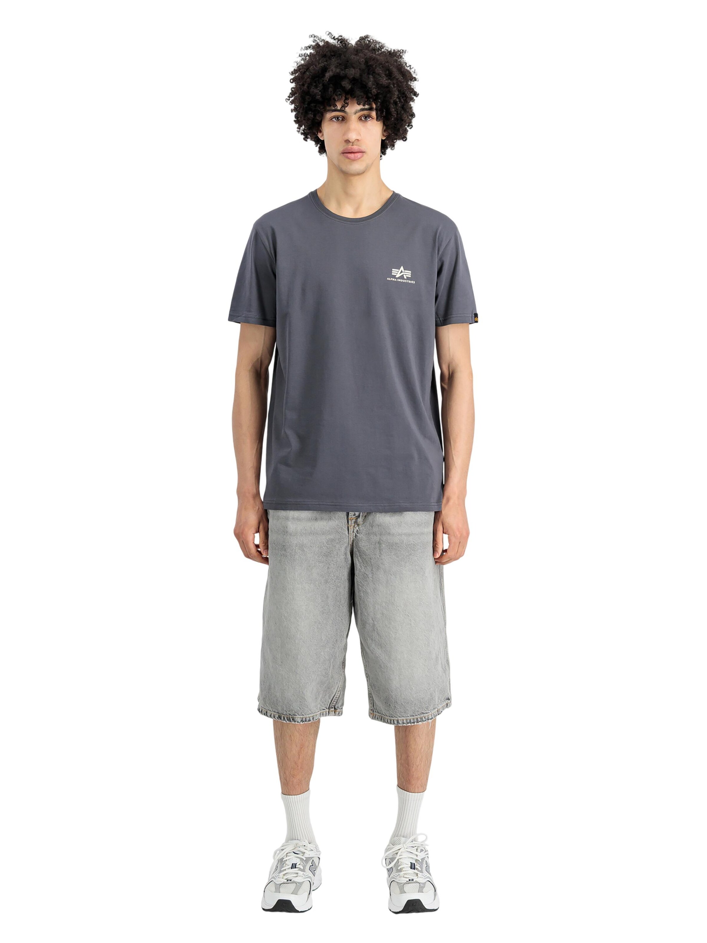 ALPHA INDUSTRIES Shirt 'Basic Small Logo'‌‌ in Grau: Vorderseite
