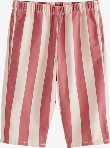 Next Regular Hose in Rot: Vorderseite