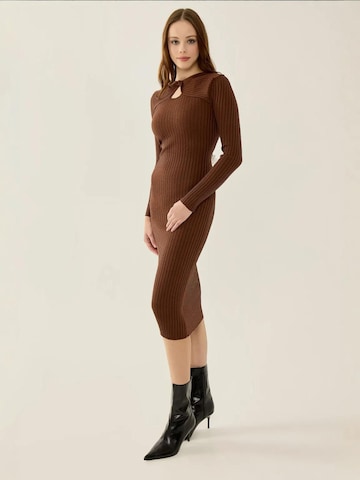 Hiccup Strickkleid in Braun