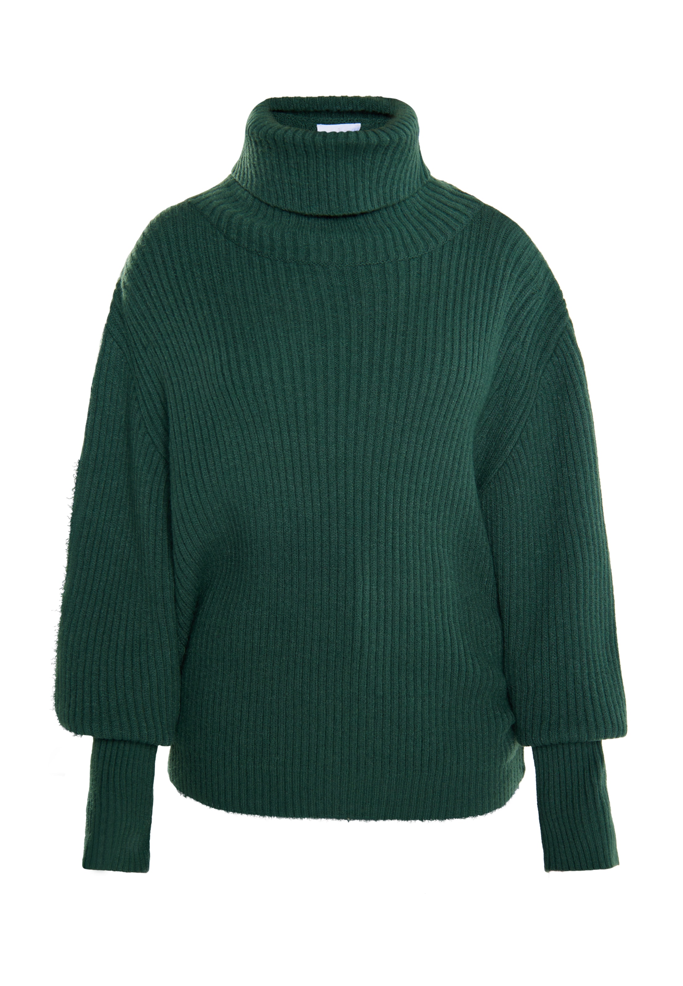 usha WHITE LABEL Pullover 'Iridia' in Grün: Vorderseite