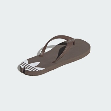 Tongs 'Adi Sun' ADIDAS ORIGINALS en marron