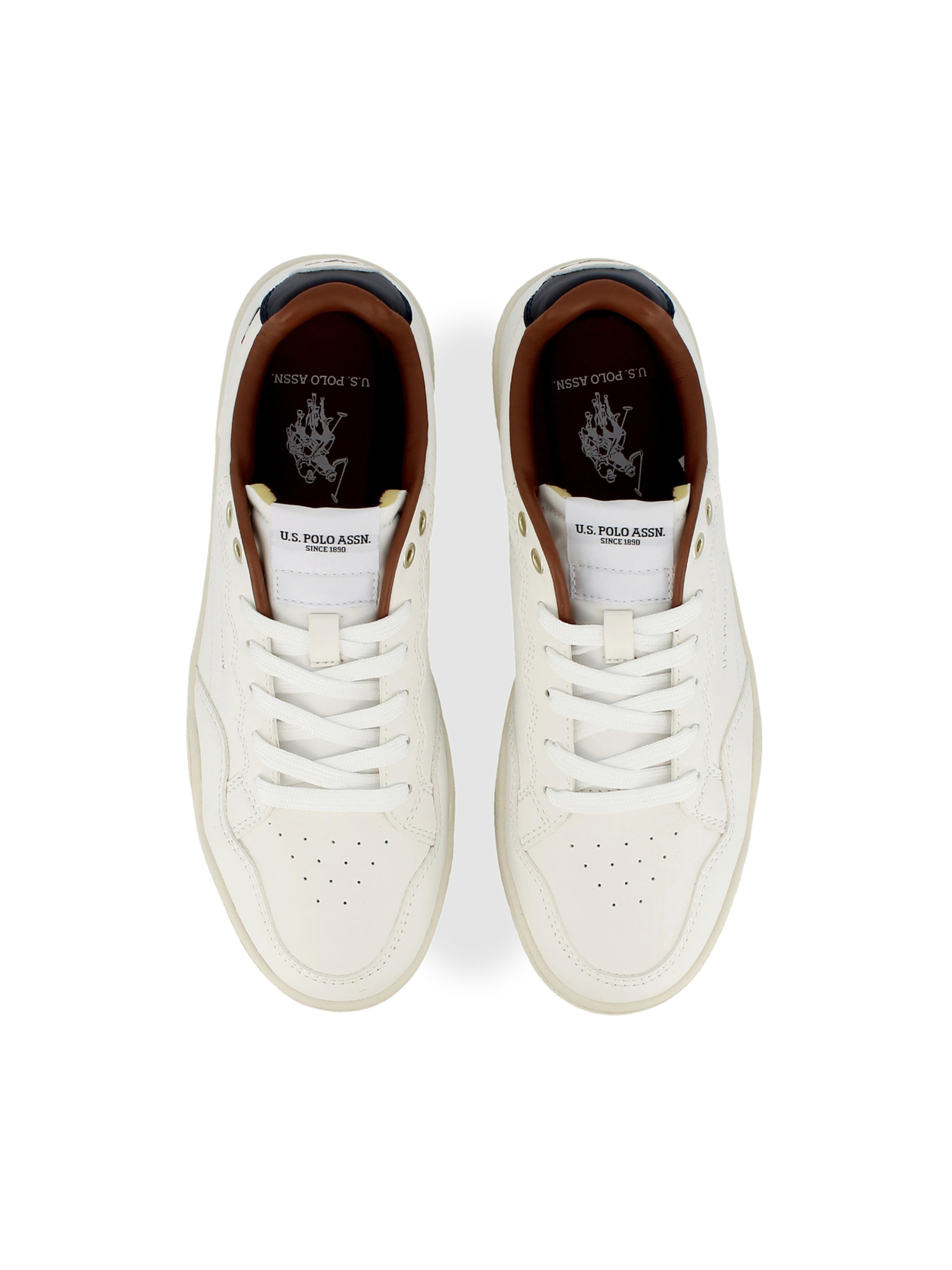 Baskets basses 'Elia' US POLO ASSN. en blanc